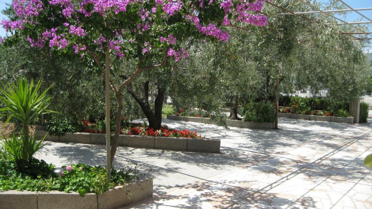 Apartments Maslina Trogir Exterior photo